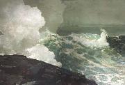 Winslow Homer Northeaster (mk44) oil painting